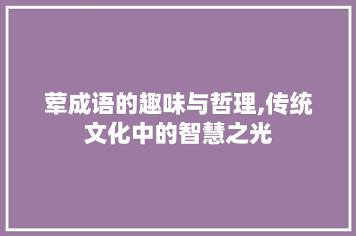 荤成语的趣味与哲理,传统文化中的智慧之光