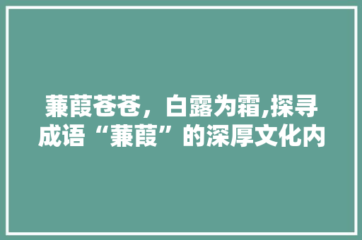 蒹葭苍苍，白露为霜,探寻成语“蒹葭”的深厚文化内涵