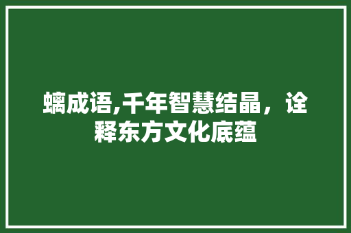 螭成语,千年智慧结晶，诠释东方文化底蕴