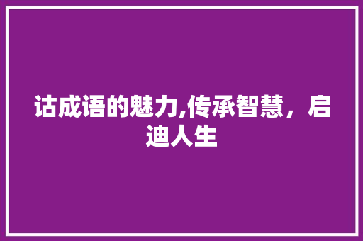 诂成语的魅力,传承智慧，启迪人生