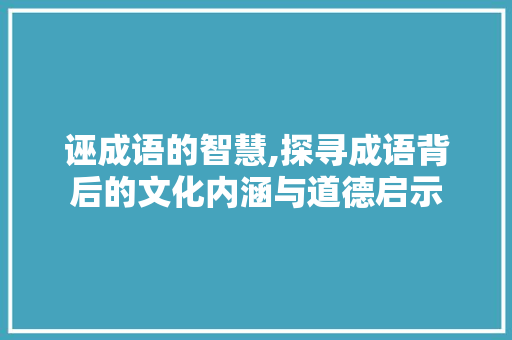 诬成语的智慧,探寻成语背后的文化内涵与道德启示