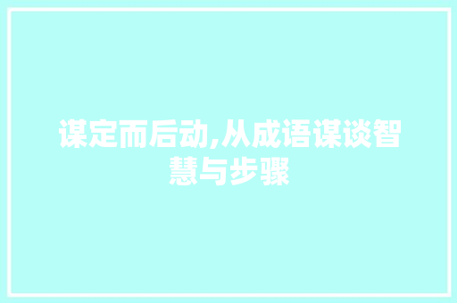 谋定而后动,从成语谋谈智慧与步骤
