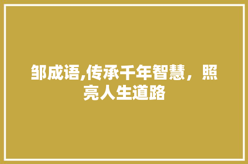 邹成语,传承千年智慧，照亮人生道路