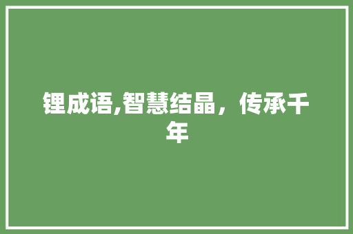 锂成语,智慧结晶，传承千年