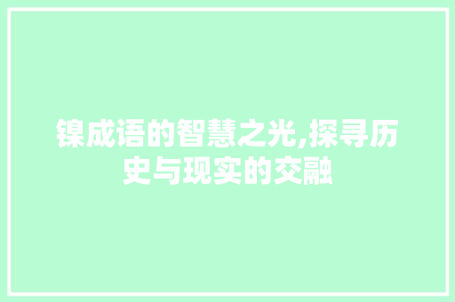 镍成语的智慧之光,探寻历史与现实的交融