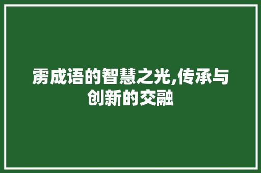 雳成语的智慧之光,传承与创新的交融