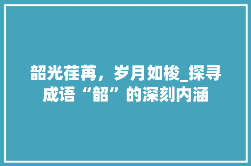韶光荏苒，岁月如梭_探寻成语“韶”的深刻内涵