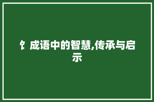 饣成语中的智慧,传承与启示