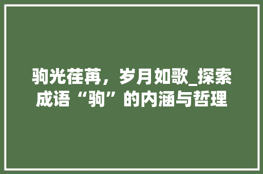 驹光荏苒，岁月如歌_探索成语“驹”的内涵与哲理
