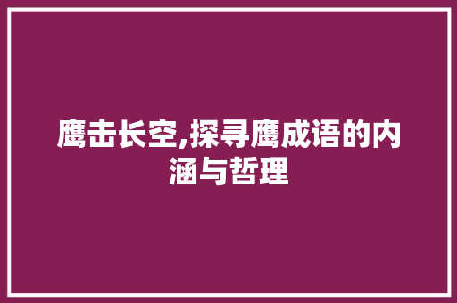 鹰击长空,探寻鹰成语的内涵与哲理