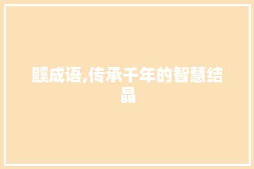 鼷成语,传承千年的智慧结晶
