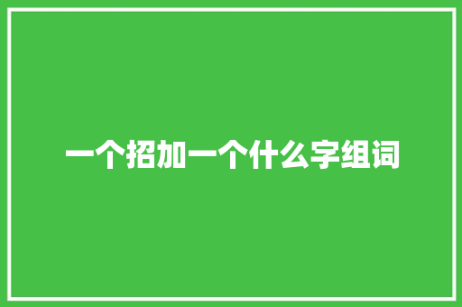 一个招加一个什么字组词