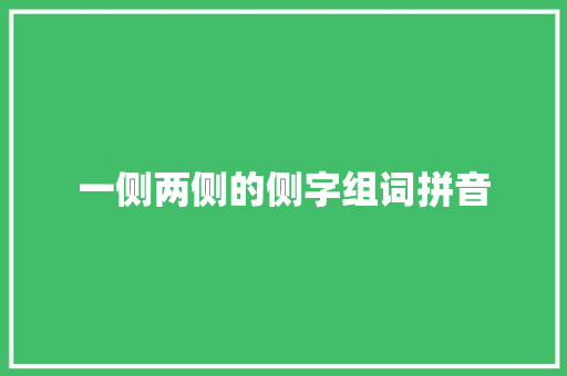 一侧两侧的侧字组词拼音
