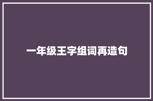 一年级王字组词再造句