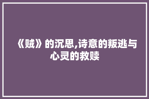 《贼》的沉思,诗意的叛逃与心灵的救赎