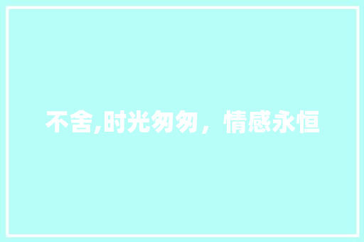 不舍,时光匆匆，情感永恒