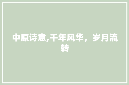 中原诗意,千年风华，岁月流转