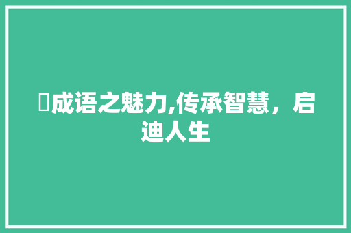 儃成语之魅力,传承智慧，启迪人生