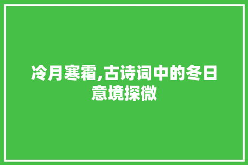 冷月寒霜,古诗词中的冬日意境探微