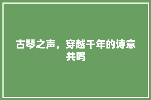 古琴之声，穿越千年的诗意共鸣