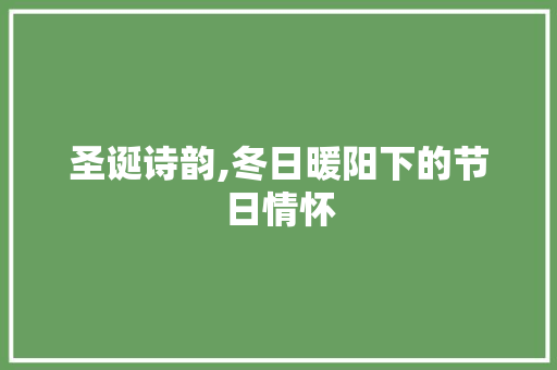 圣诞诗韵,冬日暖阳下的节日情怀