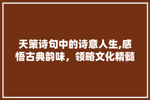 天策诗句中的诗意人生,感悟古典韵味，领略文化精髓