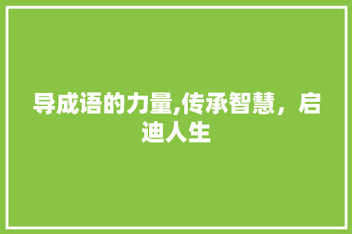 导成语的力量,传承智慧，启迪人生
