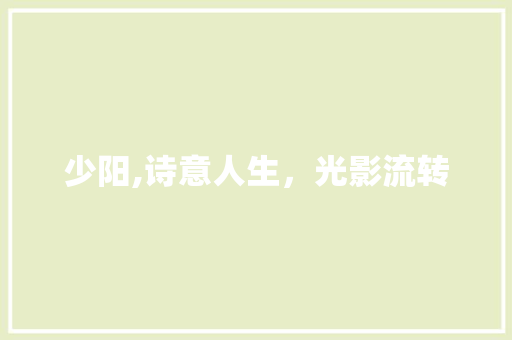 少阳,诗意人生，光影流转