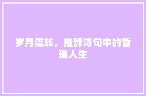 岁月流转，推辞诗句中的哲理人生