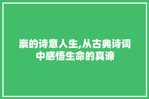 崇的诗意人生,从古典诗词中感悟生命的真谛