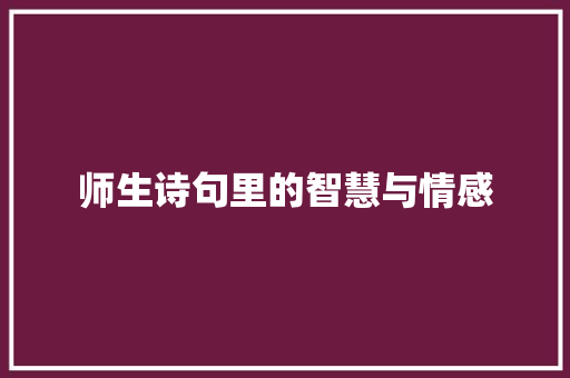 师生诗句里的智慧与情感