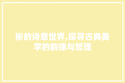 彬的诗意世界,探寻古典美学的韵律与哲理