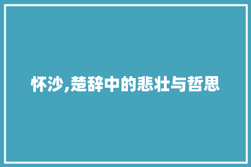 怀沙,楚辞中的悲壮与哲思