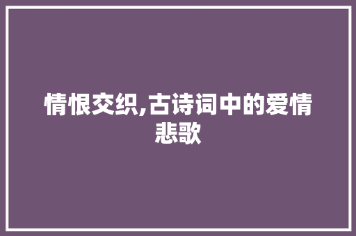 情恨交织,古诗词中的爱情悲歌