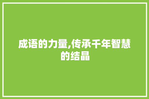 成语的力量,传承千年智慧的结晶