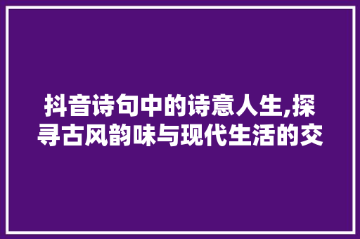抖音诗句中的诗意人生,探寻古风韵味与现代生活的交融