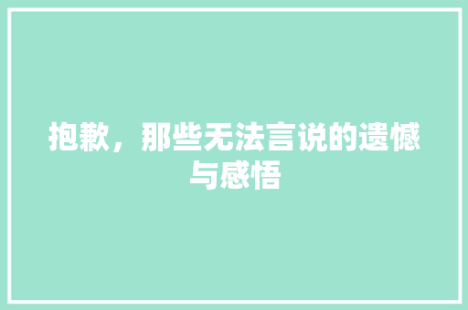 抱歉，那些无法言说的遗憾与感悟