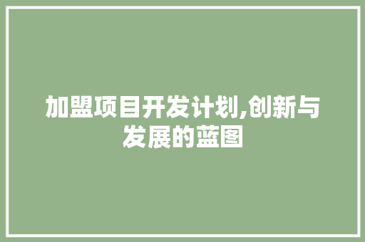 加盟项目开发计划,创新与发展的蓝图
