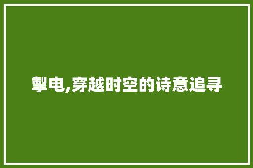 掣电,穿越时空的诗意追寻