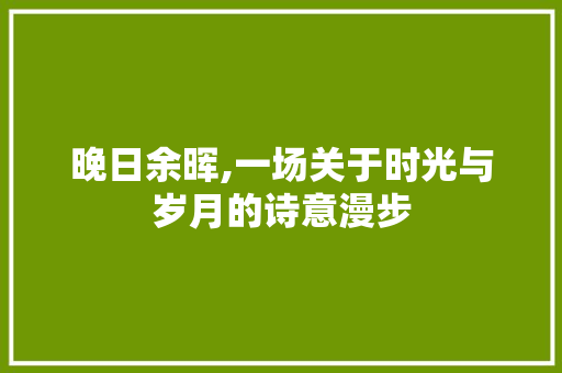 晚日余晖,一场关于时光与岁月的诗意漫步