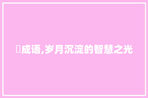 朼成语,岁月沉淀的智慧之光
