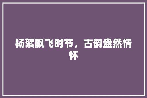 杨絮飘飞时节，古韵盎然情怀