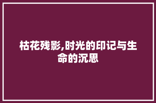 枯花残影,时光的印记与生命的沉思