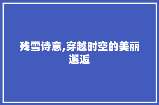 残雪诗意,穿越时空的美丽邂逅