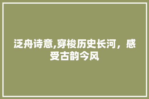 泛舟诗意,穿梭历史长河，感受古韵今风