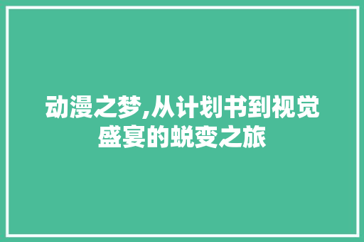 动漫之梦,从计划书到视觉盛宴的蜕变之旅