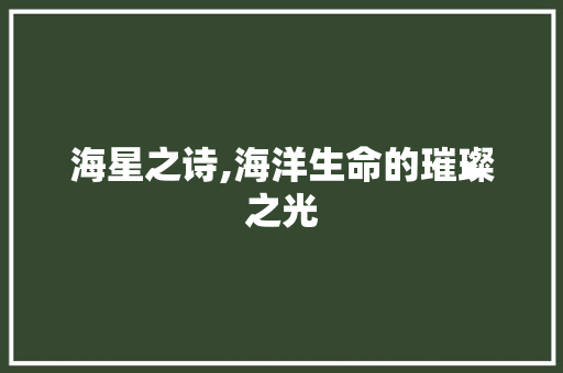 海星之诗,海洋生命的璀璨之光