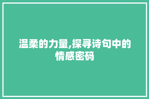温柔的力量,探寻诗句中的情感密码