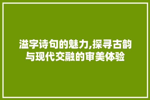 溢字诗句的魅力,探寻古韵与现代交融的审美体验
