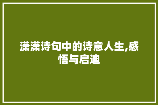 潇潇诗句中的诗意人生,感悟与启迪